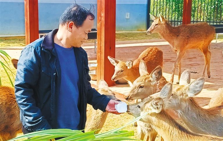 发展产业调研】林下生金不朽情缘平台【高质量(图2)